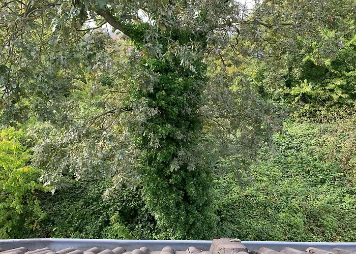 Kleines In Moenchengladbach-neuwerk 公寓